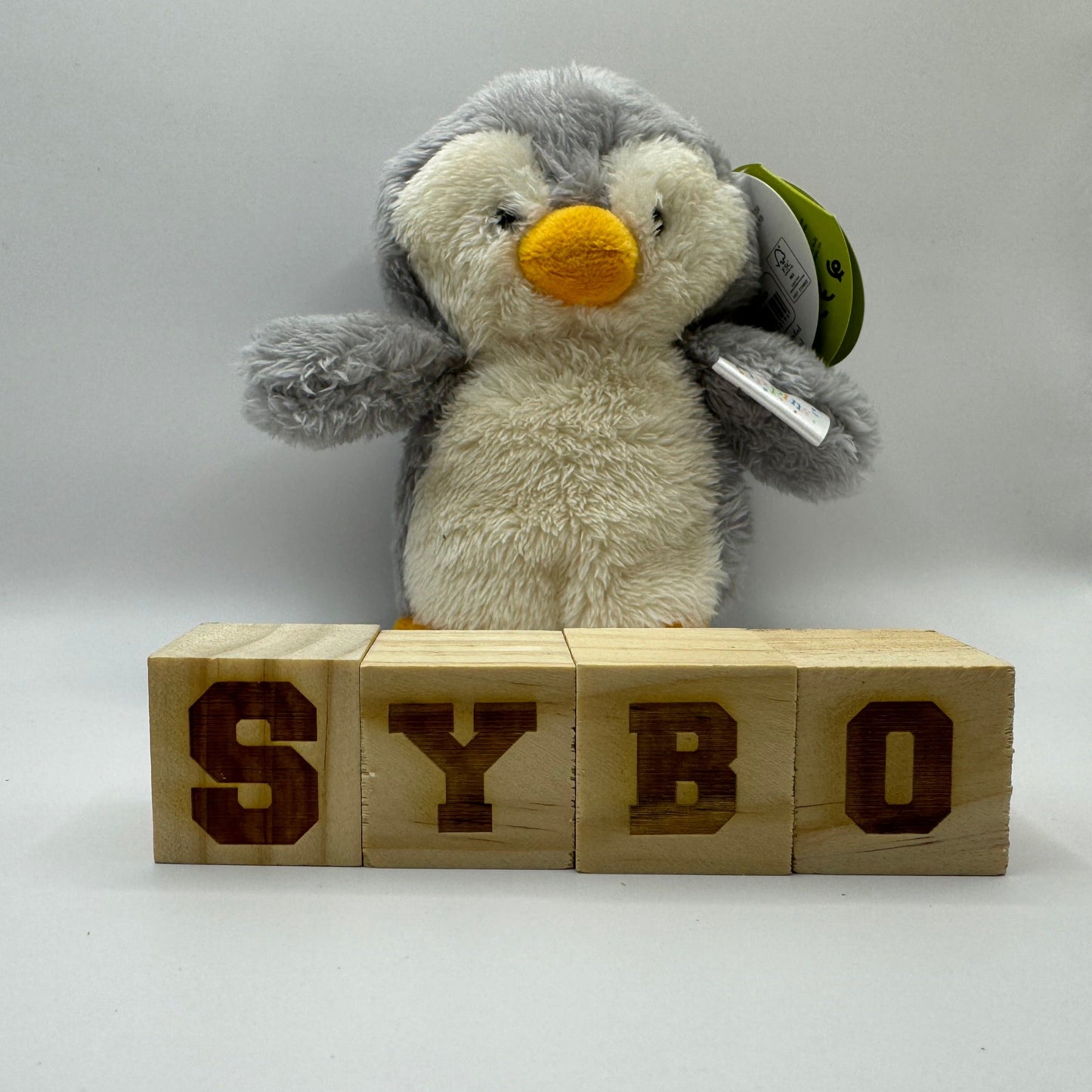 Houten naamblokken 3x3x3