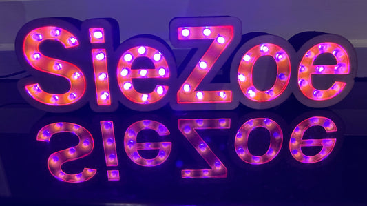 Led naambord